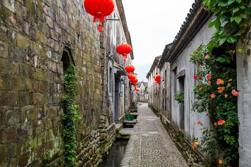 《熊出没·逆转时空》发布“重启人生”新预告